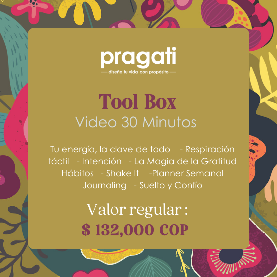 Pragati Tool Box