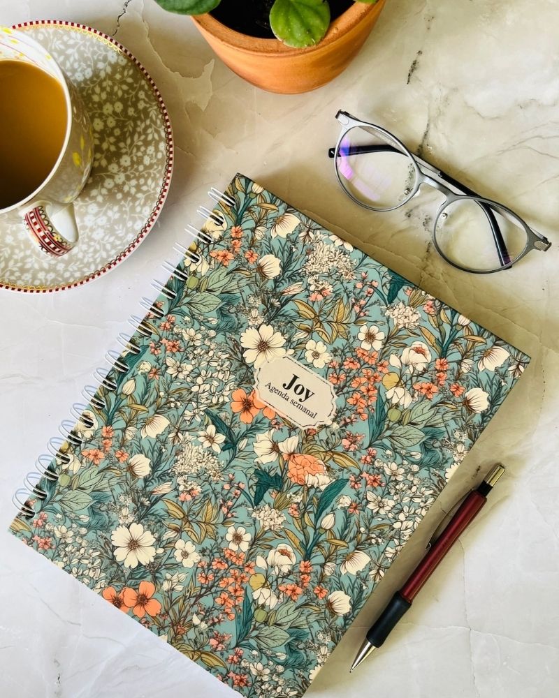 joy planner semanal vista de portada